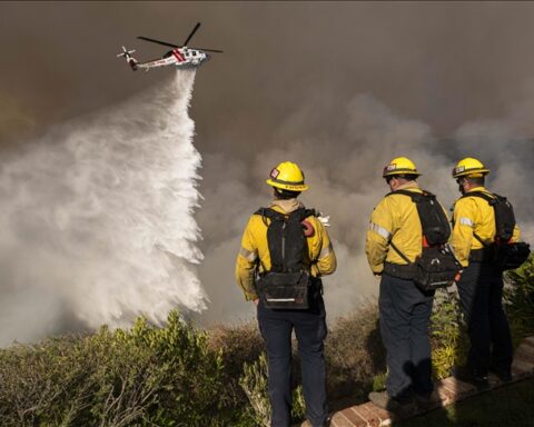 Destruction in Los Angeles: Palisades wildfire reduces area to ashes