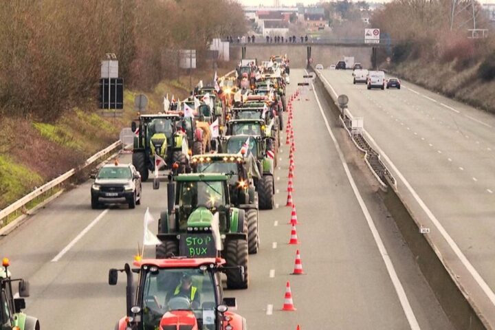 One year after protests, French farming still in crisis