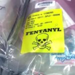 What role do Mexico, Canada and China play in the flow of fentanyl into the United States?