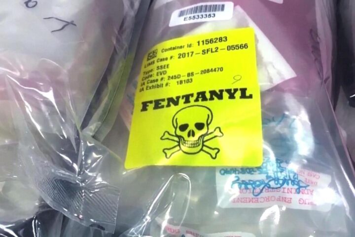 What role do Mexico, Canada and China play in the flow of fentanyl into the United States?