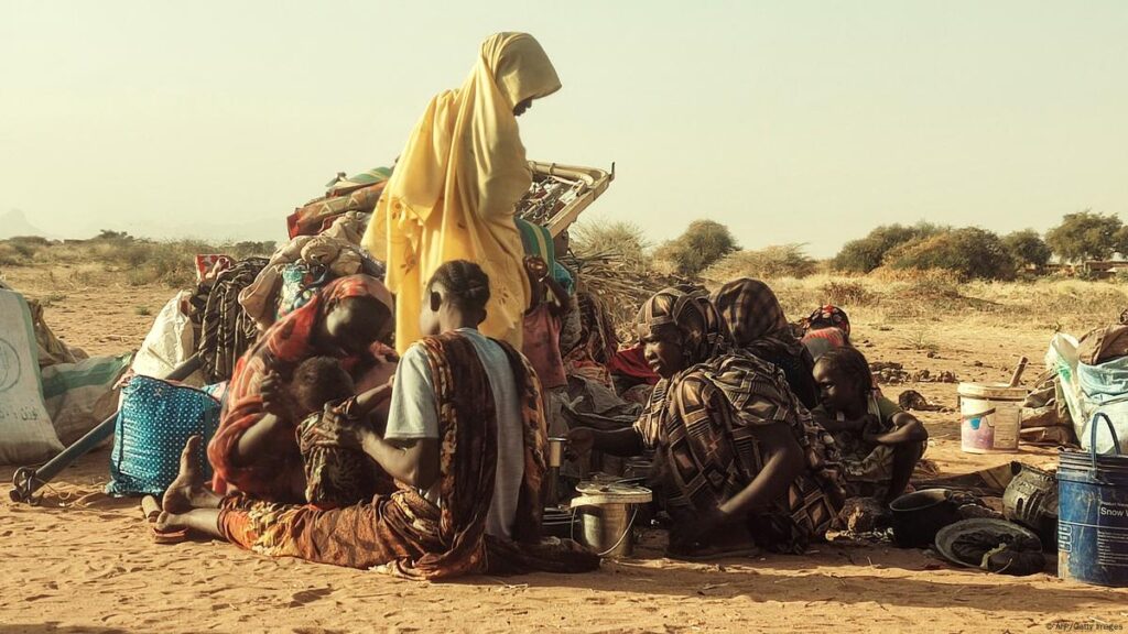 Sudan: UN food agency pauses aid in famine-hit refugee camp