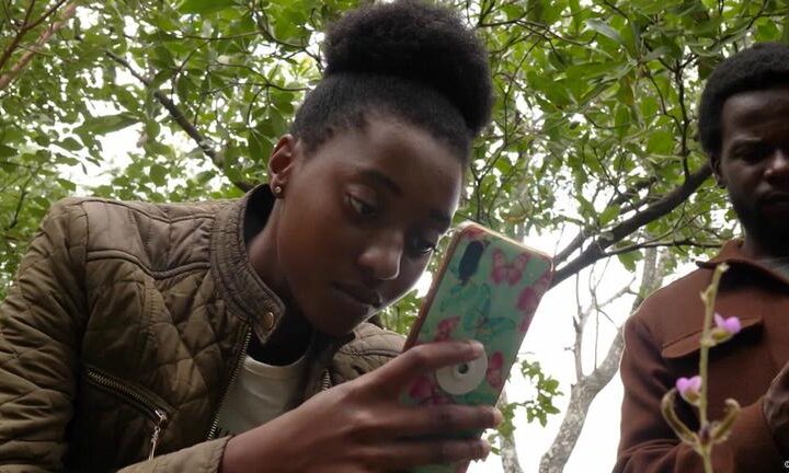 Citizens transform urban green space in Zimbabwe