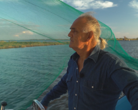 Competing for the catch of the day: In Louisiana, shrimpers struggle to stay afloat