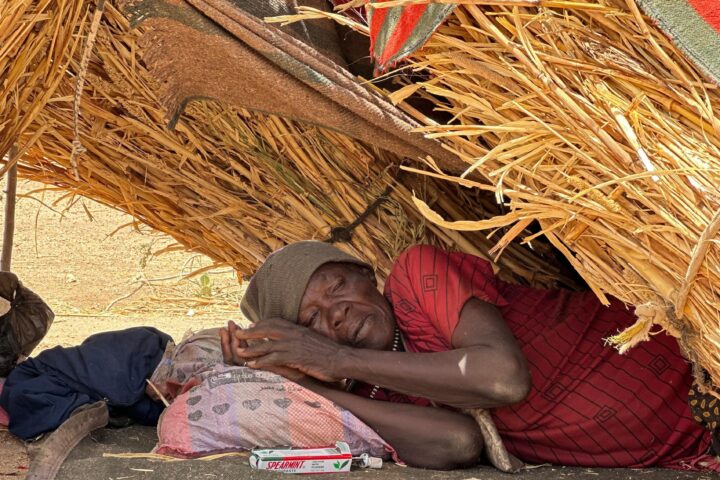 War in Sudan: 'People are having to eat charcoal or boiled leaves to survive'