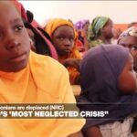 1.3 million Cameroonians are displaced (NRC)