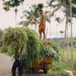 Can villages help India achieve climate goals?