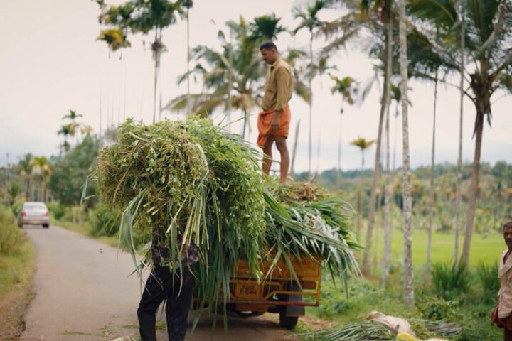 Can villages help India achieve climate goals?