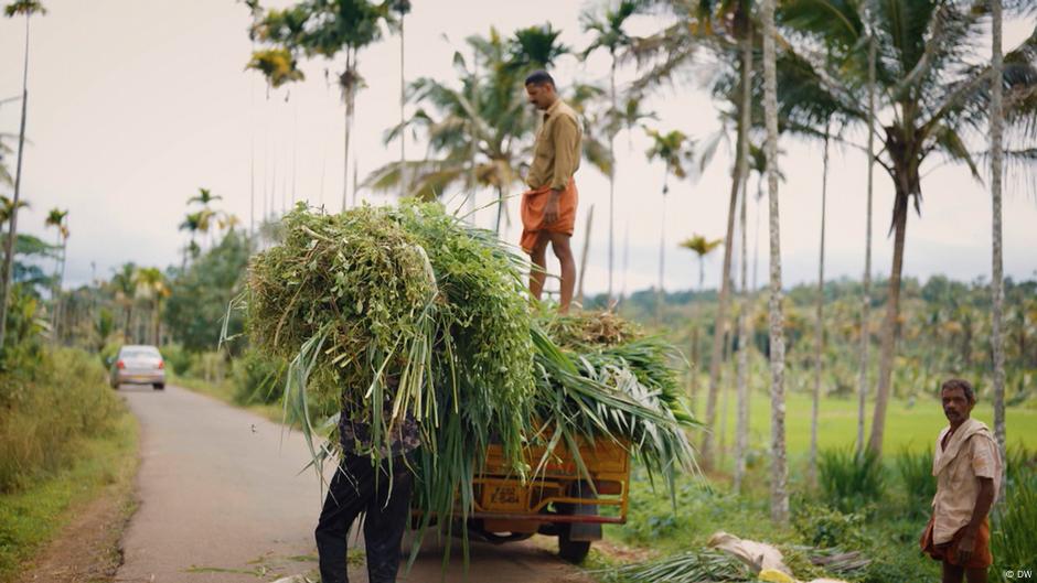 Can villages help India achieve climate goals?