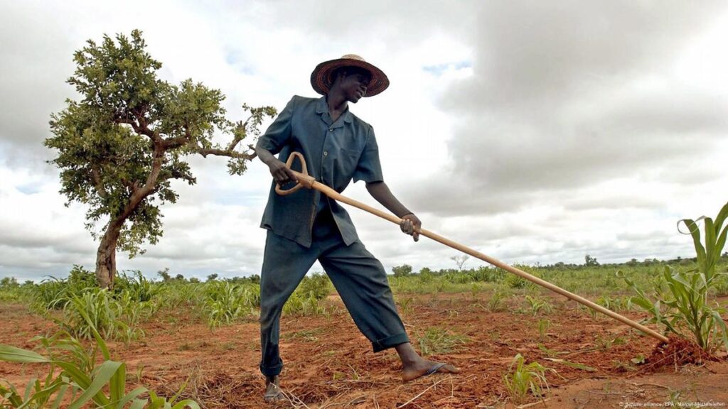 Burundi: Students boost food security with AI
