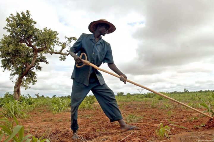 Burundi: Students boost food security with AI